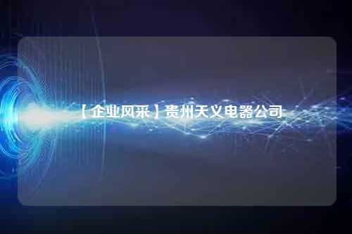 【企业风采】贵州天义电器公司